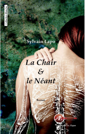 You are currently viewing La chair et le néant, de Sylvain Lapo