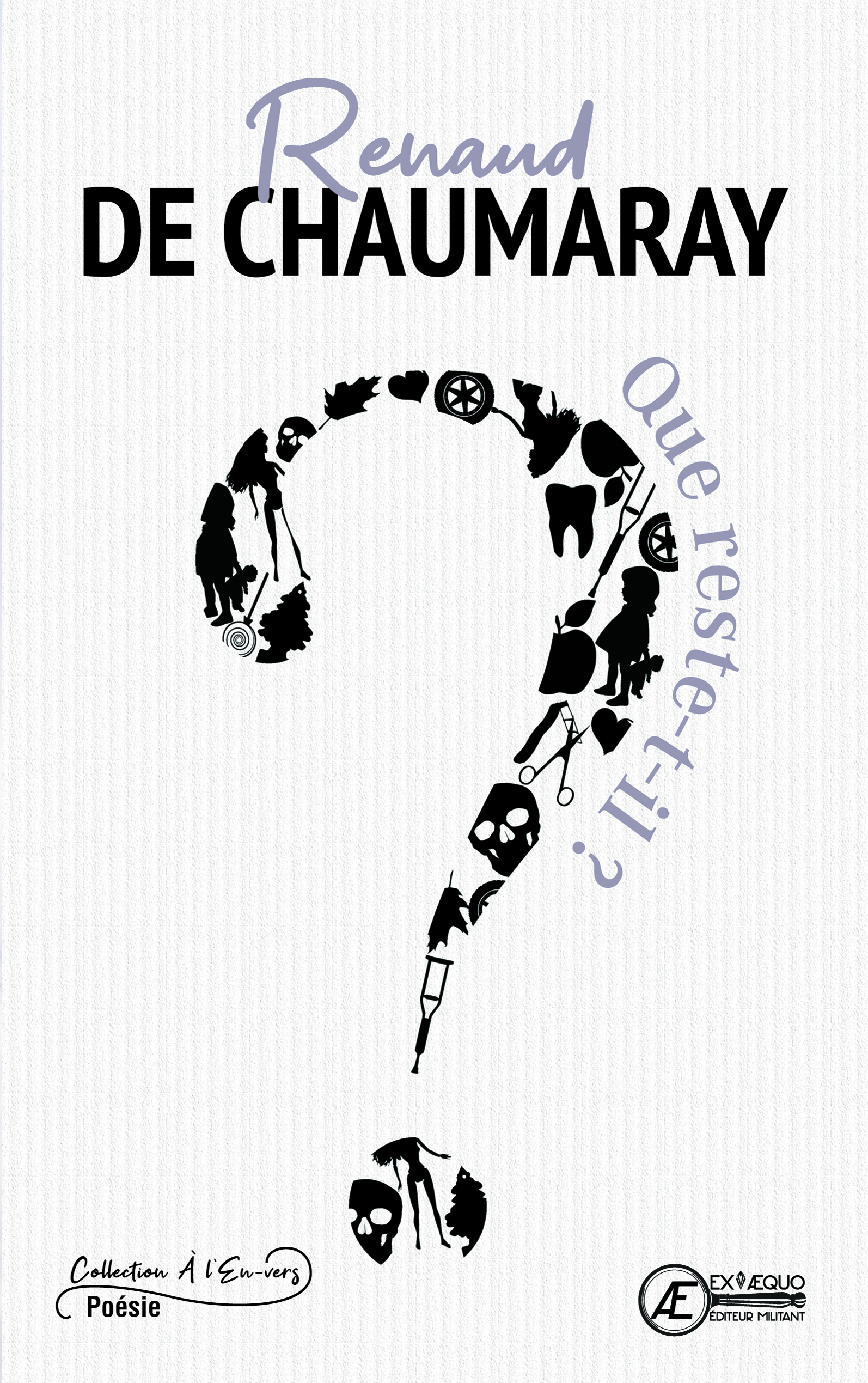 You are currently viewing Que reste-t-il ?, de Renaud de Chaumaray