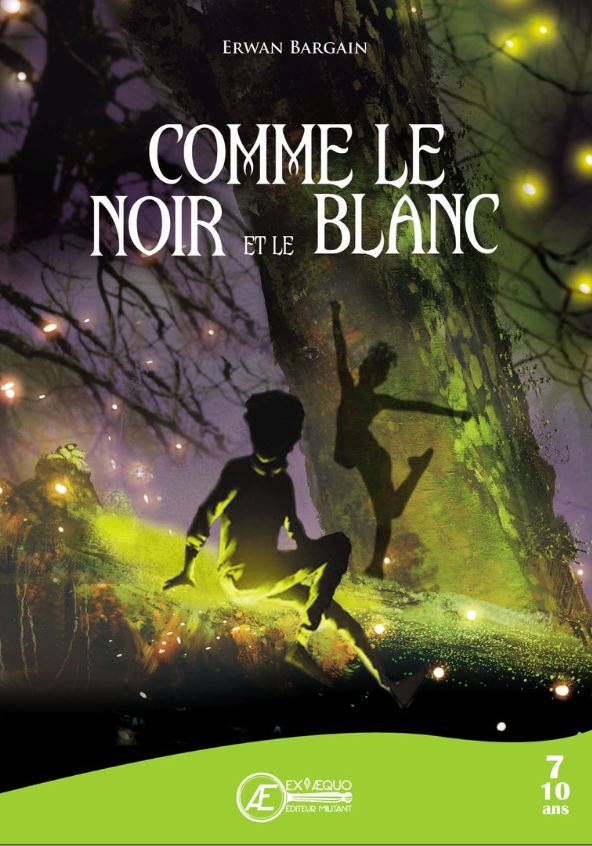 You are currently viewing Comme le noir et le Blanc, d’Erwan Bargain