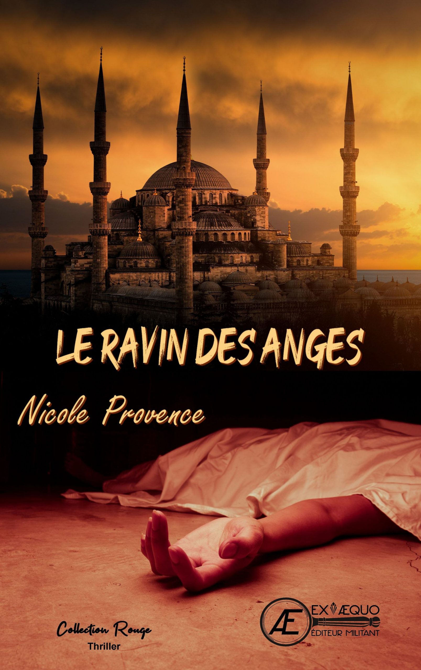 You are currently viewing Le ravin des anges, de Nicole Provence