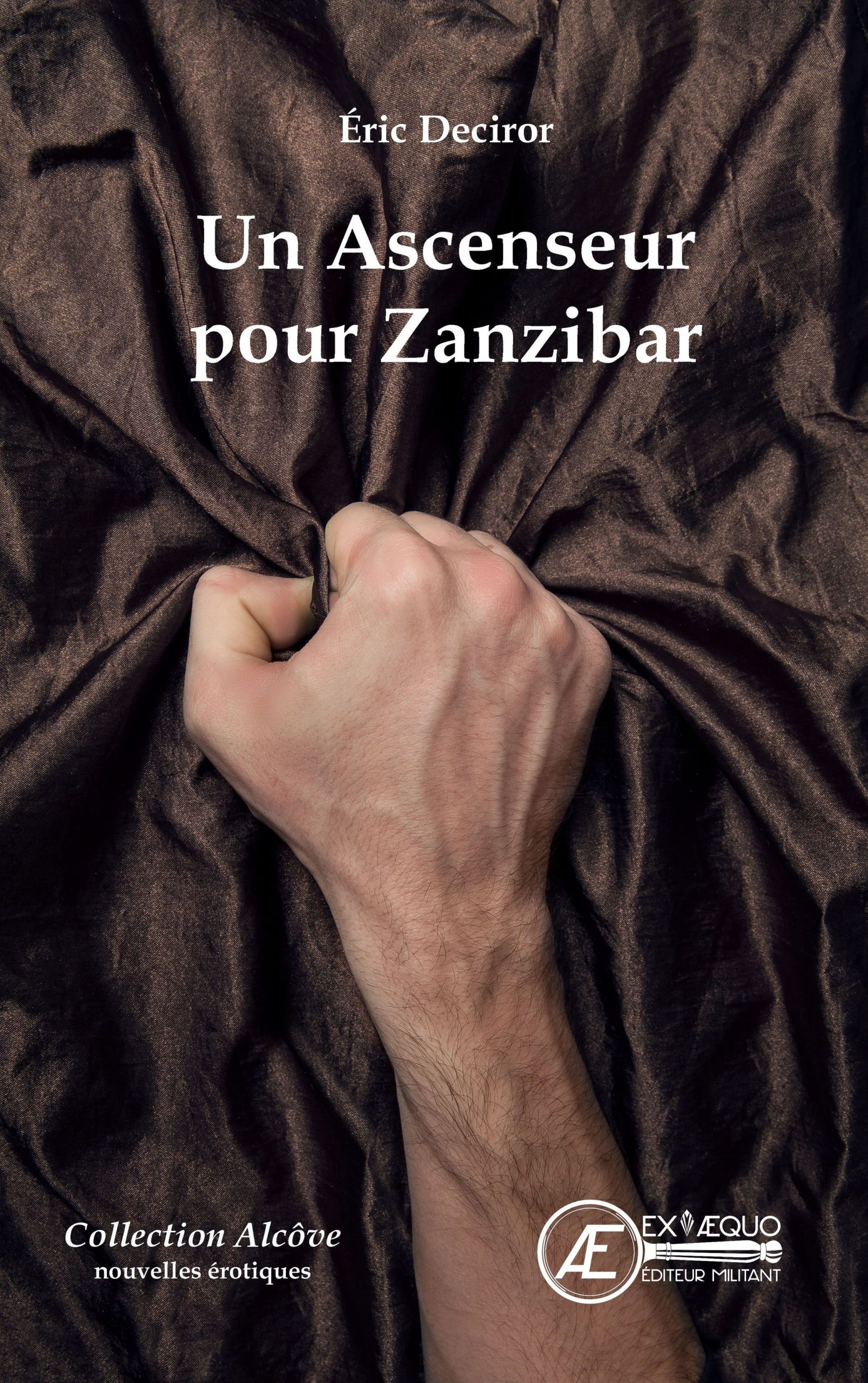 You are currently viewing Un ascenseur pour Zanzibar, d’Eric Deciror