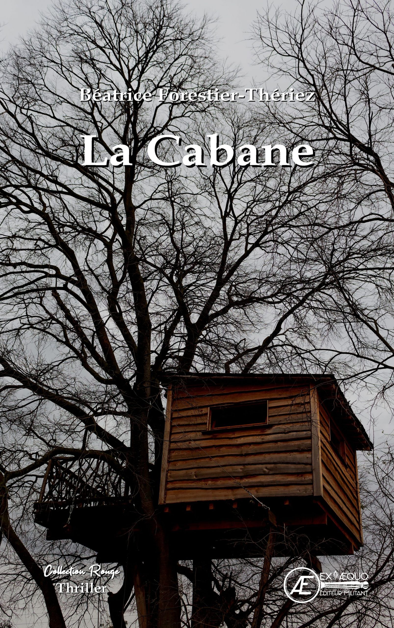 You are currently viewing La Cabane, de Béatrice Forestier-Thériez