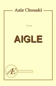 Couverture d’ouvrage : Aigle, d'Aziz Chouaki