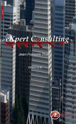 You are currently viewing eXpert Consulting, de Jean-François Thiery