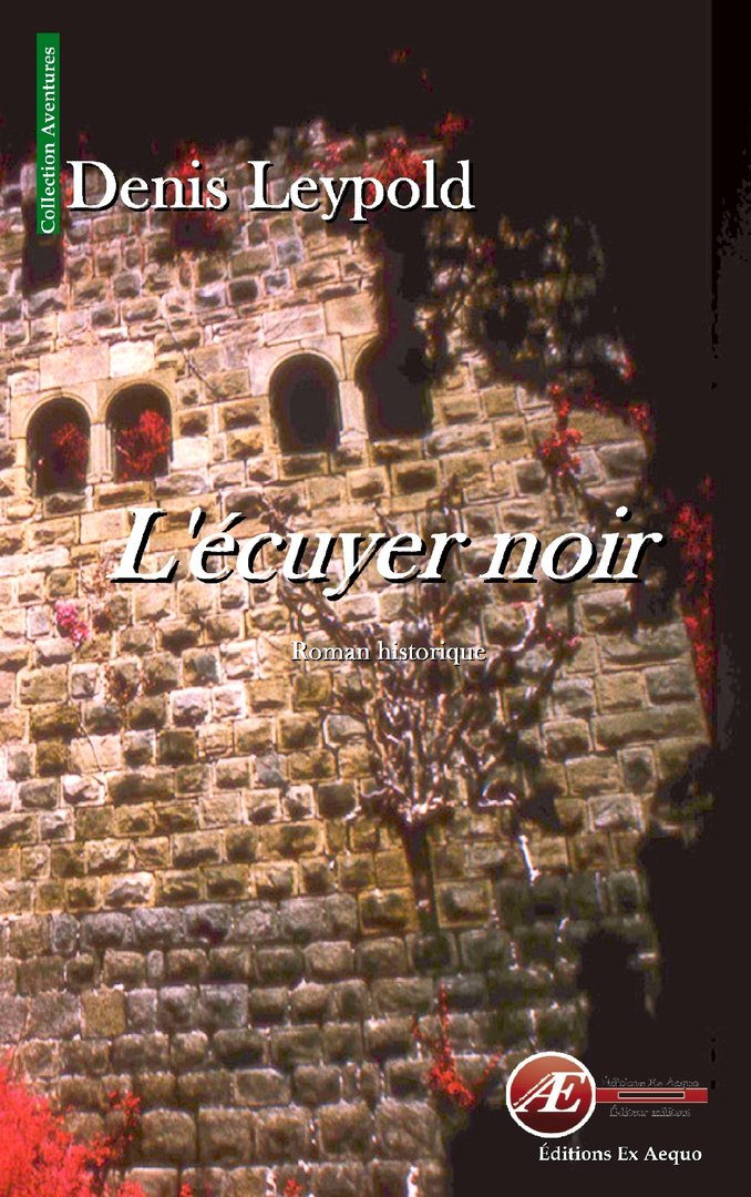 You are currently viewing L’ecuyer noir, de Denis Leypold