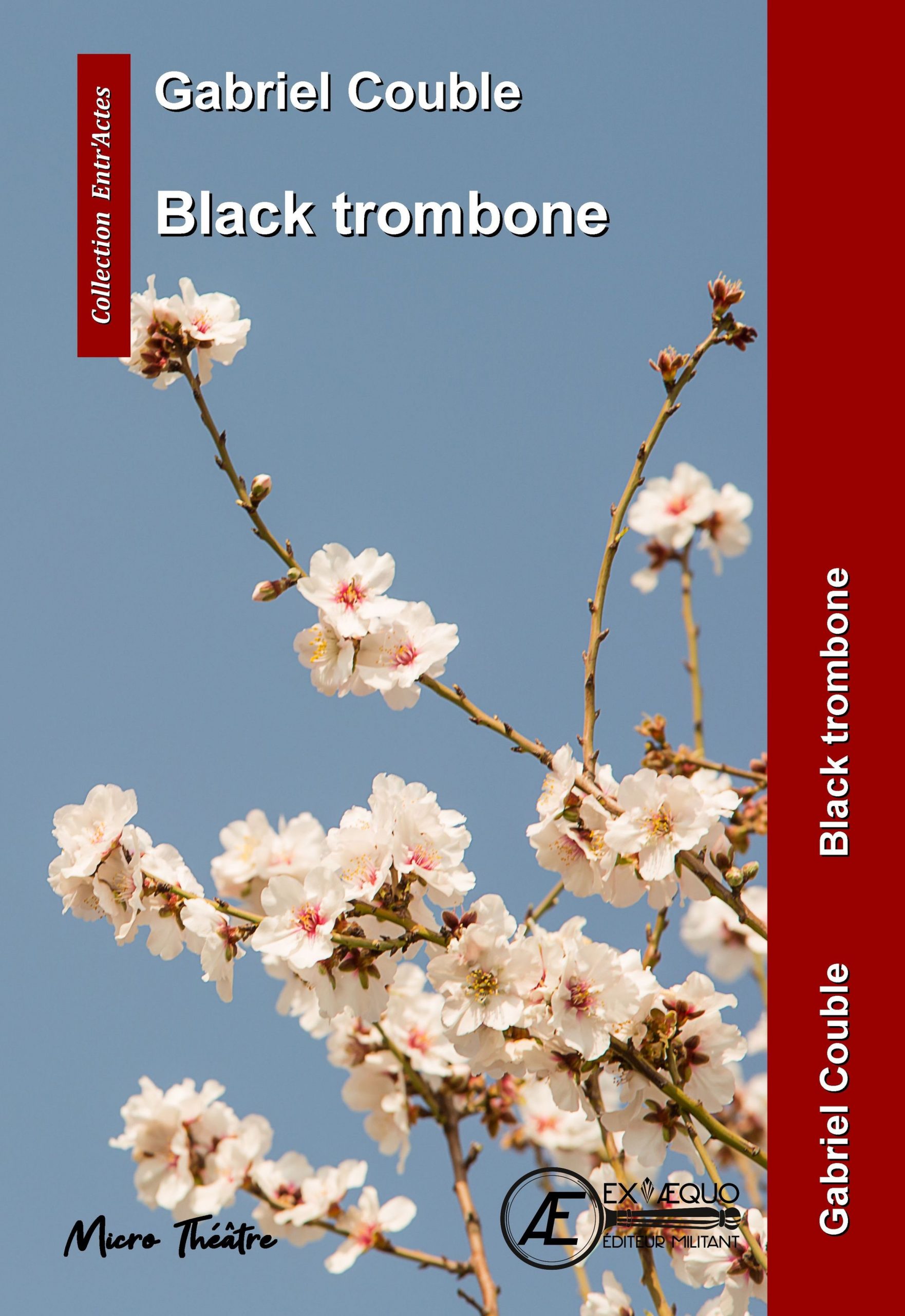 You are currently viewing Black trombone