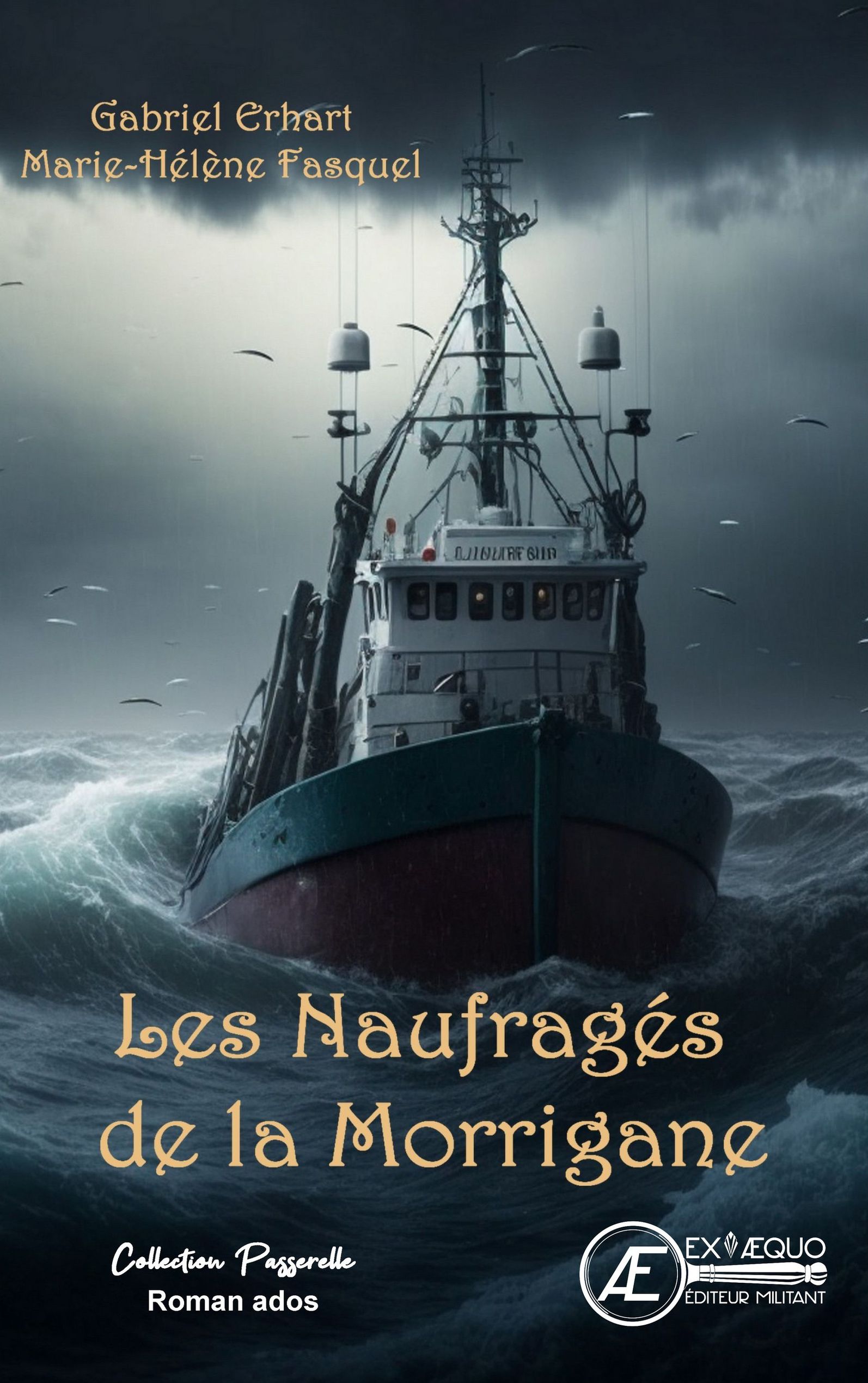 You are currently viewing Les naufragés de la Morrigane
