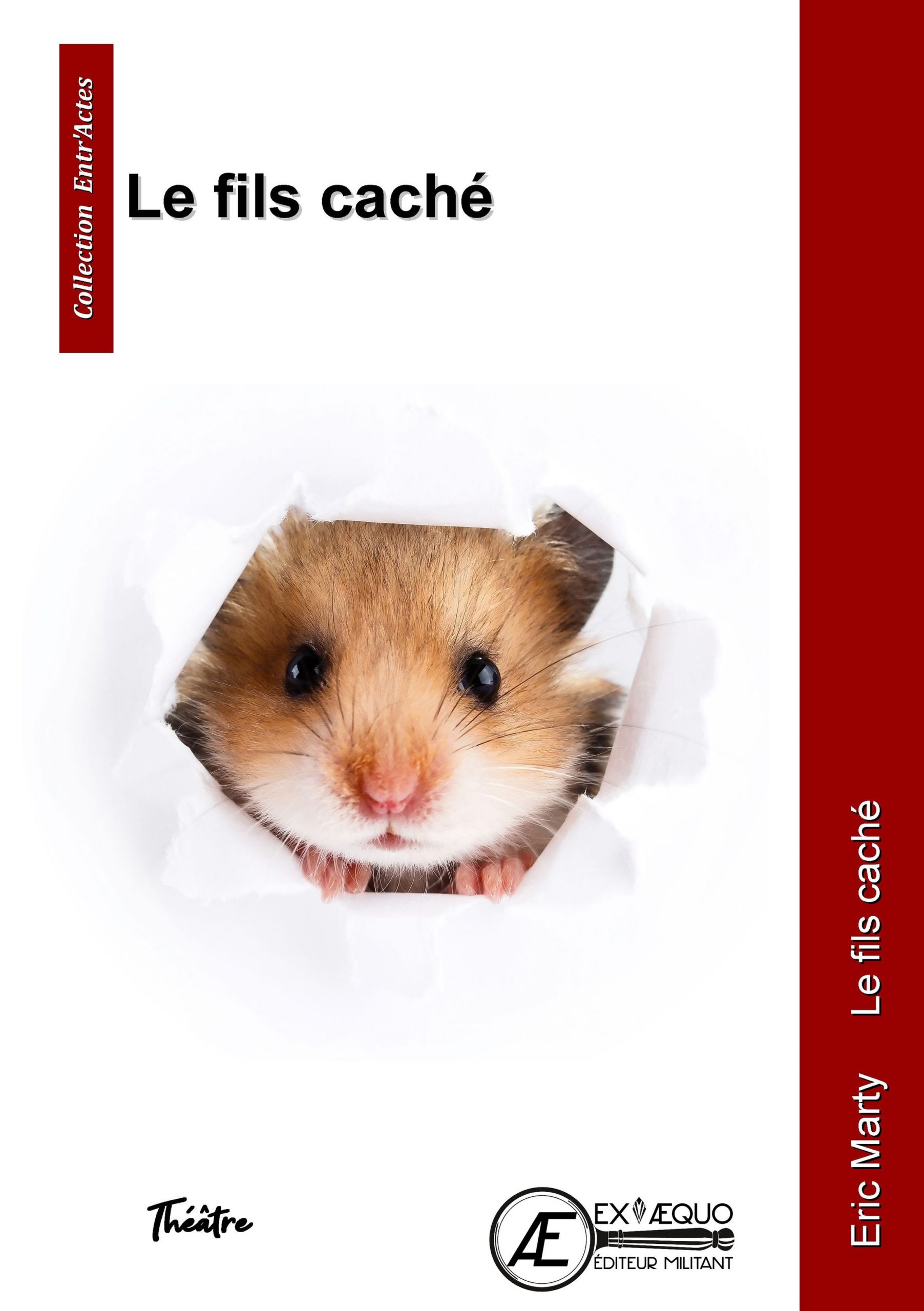 You are currently viewing Le fils caché