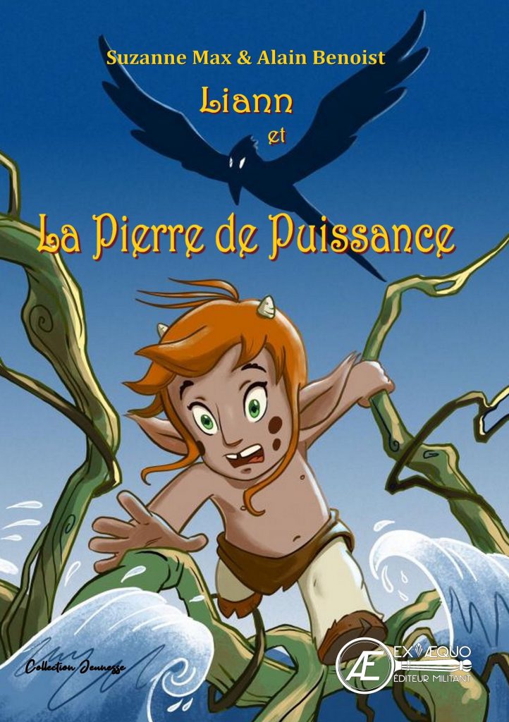Couverture d’ouvrage : Liann et la Pierre de Puissance