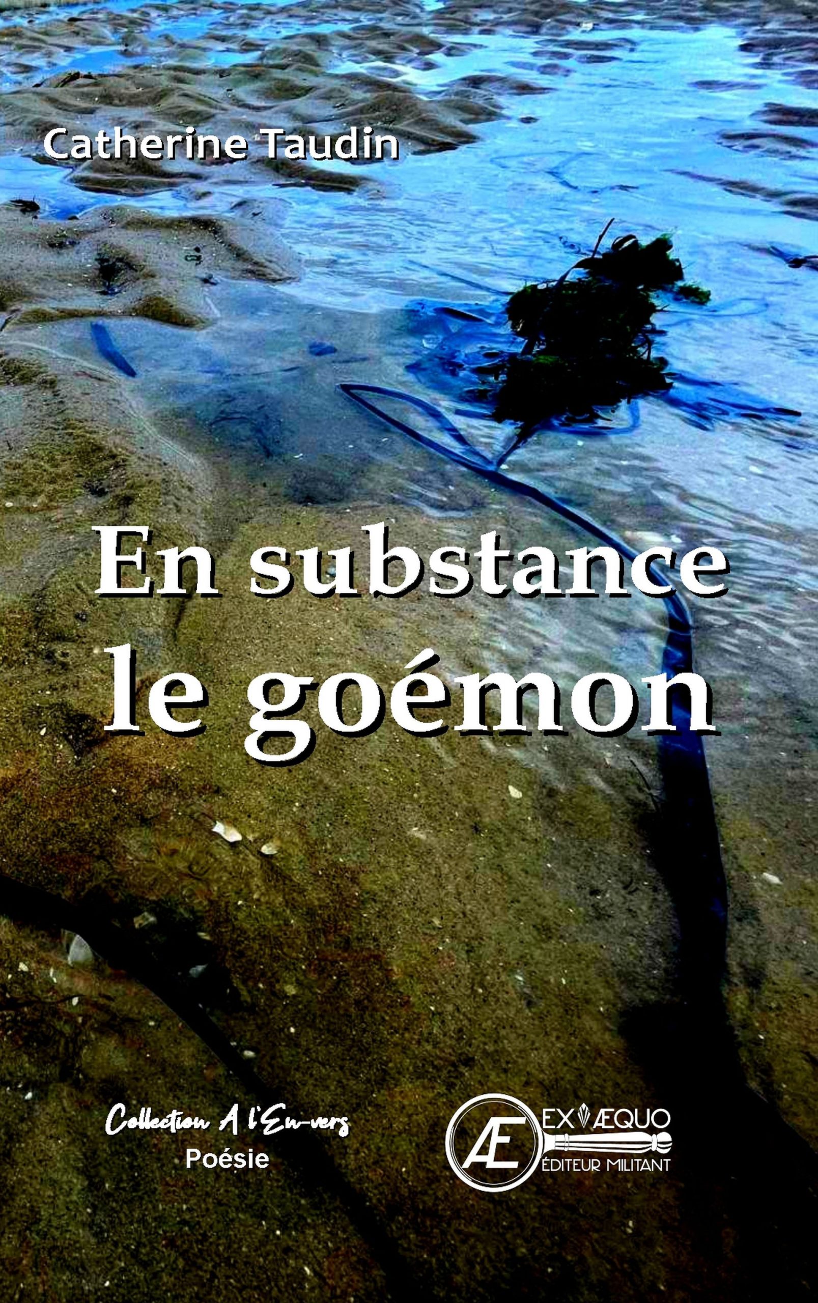 You are currently viewing En substance le goémon